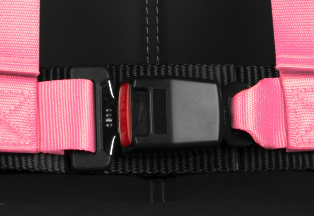 BRAUM 4 PT – RACING HARNESS 2” STRAP (PINK) BRH-PKP4